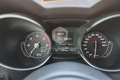 Alfa Romeo Stelvio Stelvio 2.2 Turbodiesel 180 CV AT8 Q4 Business Nero - thumbnail 12
