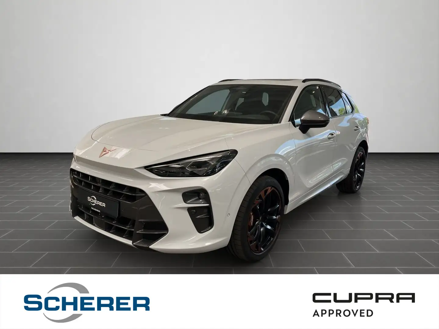 CUPRA Terramar VZ 2.0 TSI DSG, Head-up, Matrix, Panora Blanco - 1