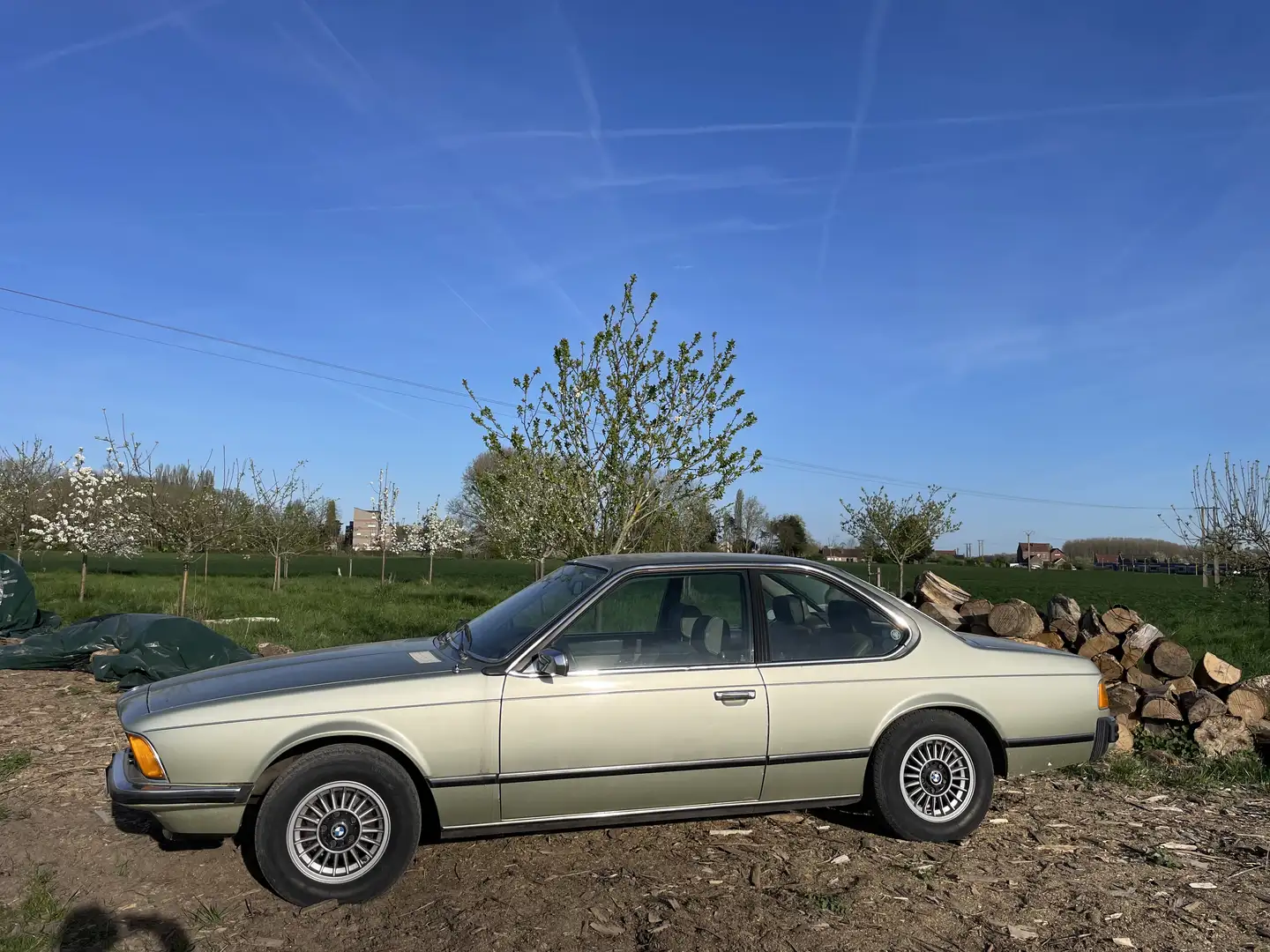 BMW 633 - 2