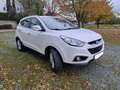Hyundai iX35 iX35 2,0 CVVT Premium 4WD Premium Weiß - thumbnail 1