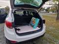 Hyundai iX35 iX35 2,0 CVVT Premium 4WD Premium Weiß - thumbnail 11