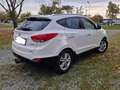 Hyundai iX35 iX35 2,0 CVVT Premium 4WD Premium Weiß - thumbnail 3