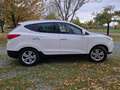 Hyundai iX35 iX35 2,0 CVVT Premium 4WD Premium Weiß - thumbnail 2