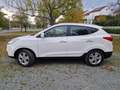 Hyundai iX35 iX35 2,0 CVVT Premium 4WD Premium Weiß - thumbnail 6