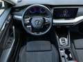 Skoda Octavia Business TDI DSG Schwarz - thumbnail 13