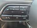 Mazda CX-60 e-SKYACTIV PHEV Homura Plus AWD Schwarz - thumbnail 19
