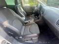 SEAT Leon 2.0 TDI 150 CV  ST Business Bianco - thumbnail 21