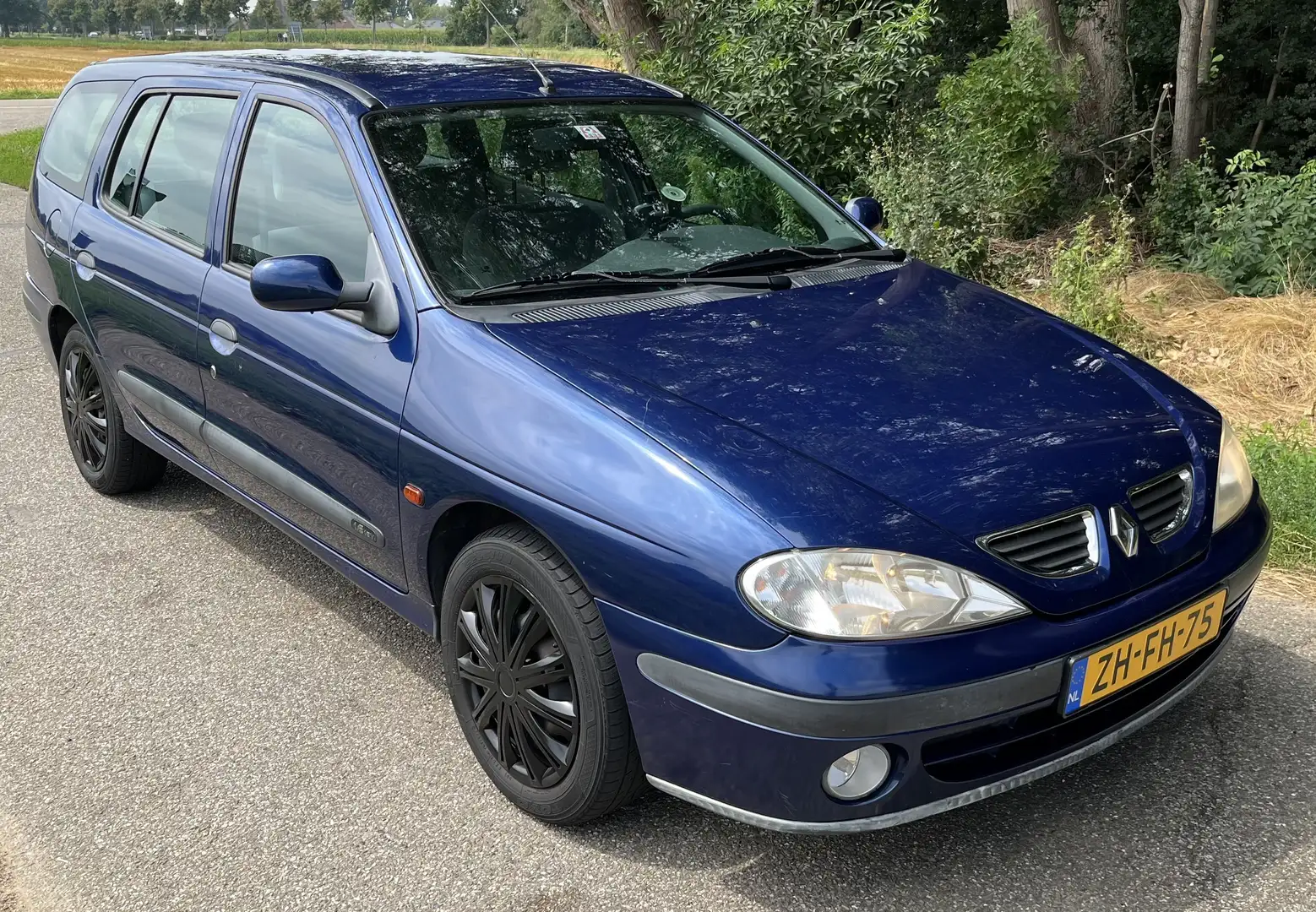 Renault Megane 1.6-16V RXE Blauw - 2
