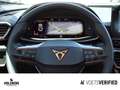 CUPRA Formentor 1.5 TSI NAVI+ACC+SHZ Grau - thumbnail 16
