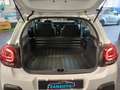 Citroen C3 1.5 bluehdi Feel Van 2 posti *PREZZO+IVA* Wit - thumbnail 10