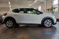 Citroen C3 1.5 bluehdi Feel Van 2 posti *PREZZO+IVA* Wit - thumbnail 8