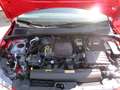 SEAT Ibiza +PDC+SHZ+Alu+Bluetooth Rot - thumbnail 11