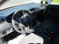 SEAT Ibiza +PDC+SHZ+Alu+Bluetooth Rot - thumbnail 10