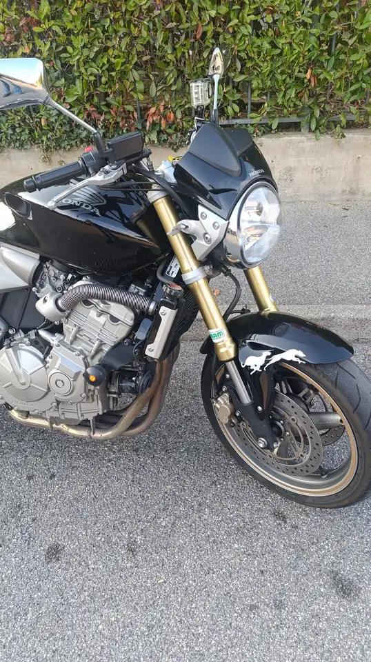 Honda Hornet