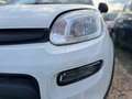 Fiat New Panda 1.0 FireFly Hybrid Weiß - thumbnail 3