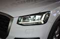 Audi Q2 35 TDI S-TRONIC QUATTRO BUSINESS Bianco - thumbnail 8
