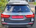 Mercedes-Benz E 220 d Avantgarde Interieur Park-Ass./Kamera Navi LED Grau - thumbnail 4