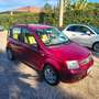 Fiat Panda Panda 1.2 Dynamic Rood - thumbnail 4