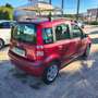 Fiat Panda Panda 1.2 Dynamic Rood - thumbnail 3