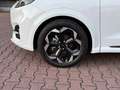 Ford Puma 1.0 ecoboost Hybrid ST-Line X 125cv Auto Білий - thumbnail 11
