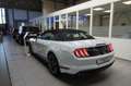 Ford Mustang Ford  Convertible GT 5.0 LED*SHZ*CAM*SBL Weiß - thumbnail 8
