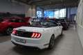 Ford Mustang Ford  Convertible GT 5.0 LED*SHZ*CAM*SBL Weiß - thumbnail 5