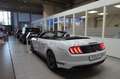 Ford Mustang Ford  Convertible GT 5.0 LED*SHZ*CAM*SBL Weiß - thumbnail 6