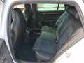 Skoda Superb Combi 2.0 TDI  Sportline ACC+Alcantara+LM Weiß - thumbnail 23