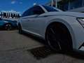 Skoda Superb Combi 2.0 TDI  Sportline ACC+Alcantara+LM Weiß - thumbnail 28