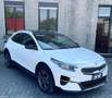 Kia XCeed 1.6 crdi Evolution Lounge Pack Automatica-Garanzia Bianco - thumbnail 1