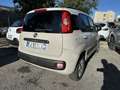 Fiat Panda Panda III 1.3 mjt 16v Lounge s Beige - thumbnail 4