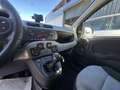 Fiat Panda Panda III 1.3 mjt 16v Lounge s Beige - thumbnail 14