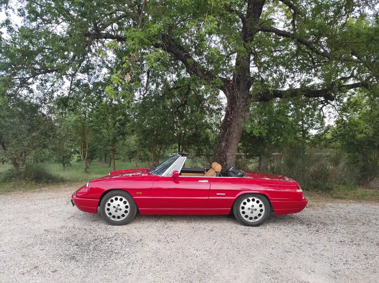 Alfa Romeo Spider 1.6 my90, foto 3