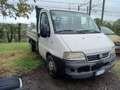 Iveco Daily Білий - thumbnail 12