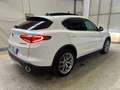 Alfa Romeo Stelvio Stelvio 2.2 t Sport Edition Q4 210cv auto Bianco - thumbnail 3