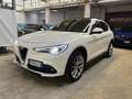 Alfa Romeo Stelvio Stelvio 2.2 t Sport Edition Q4 210cv auto Bianco - thumbnail 7