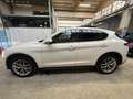 Alfa Romeo Stelvio Stelvio 2.2 t Sport Edition Q4 210cv auto Bianco - thumbnail 6