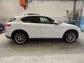 Alfa Romeo Stelvio Stelvio 2.2 t Sport Edition Q4 210cv auto Bianco - thumbnail 2