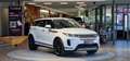 Land Rover Range Rover Evoque 2.0 D150 4x4 Aut. *Kamera*Apple*20Zoll*LED* Weiß - thumbnail 3