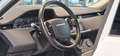 Land Rover Range Rover Evoque 2.0 D150 4x4 Aut. *Kamera*Apple*20Zoll*LED* Weiß - thumbnail 12
