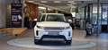 Land Rover Range Rover Evoque 2.0 D150 4x4 Aut. *Kamera*Apple*20Zoll*LED* Weiß - thumbnail 2