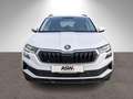 Skoda Karoq Tour 2.0 TDI DSG LED Navi PDC Stdhzg AHK Weiß - thumbnail 4