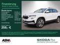 Skoda Karoq Tour 2.0 TDI DSG LED Navi PDC Stdhzg AHK Weiß - thumbnail 1
