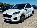 Ford Kuga ST-Line 1.5 EcoBoost PANO 1. Hand ! Weiß - thumbnail 3