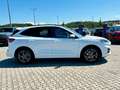 Ford Kuga ST-Line 1.5 EcoBoost PANO 1. Hand ! Weiß - thumbnail 9