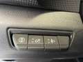 Renault TRAFIC AUTHENTIC Gris - thumbnail 12