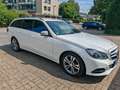 Mercedes-Benz E 250 E 250 BlueTec 4Matic (212.297) Blanc - thumbnail 2
