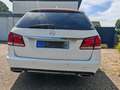 Mercedes-Benz E 250 E 250 BlueTec 4Matic (212.297) Blanc - thumbnail 5