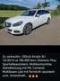 Mercedes-Benz E 250 E 250 BlueTec 4Matic (212.297) Blanc - thumbnail 3