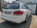 Mercedes-Benz E 250 E 250 BlueTec 4Matic (212.297) Blanc - thumbnail 4